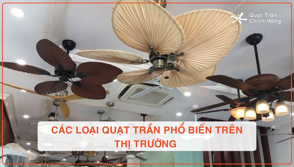 Các loại quạt phổ biến trên thị trường hiện nay