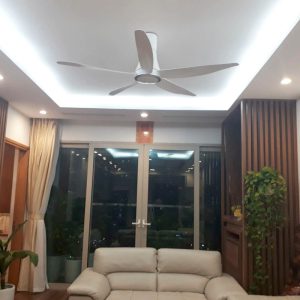 Quạt trần Panasonic F-60TDN