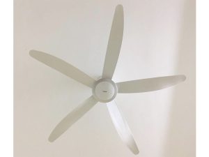 Quạt trần Panasonic F-60TDN