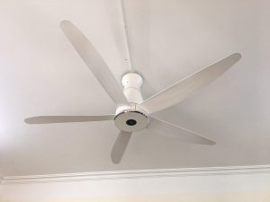 Quạt trần Panasonic F-60XDN