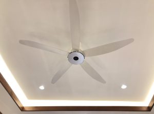 Quạt trần Panasonic F-60XDN