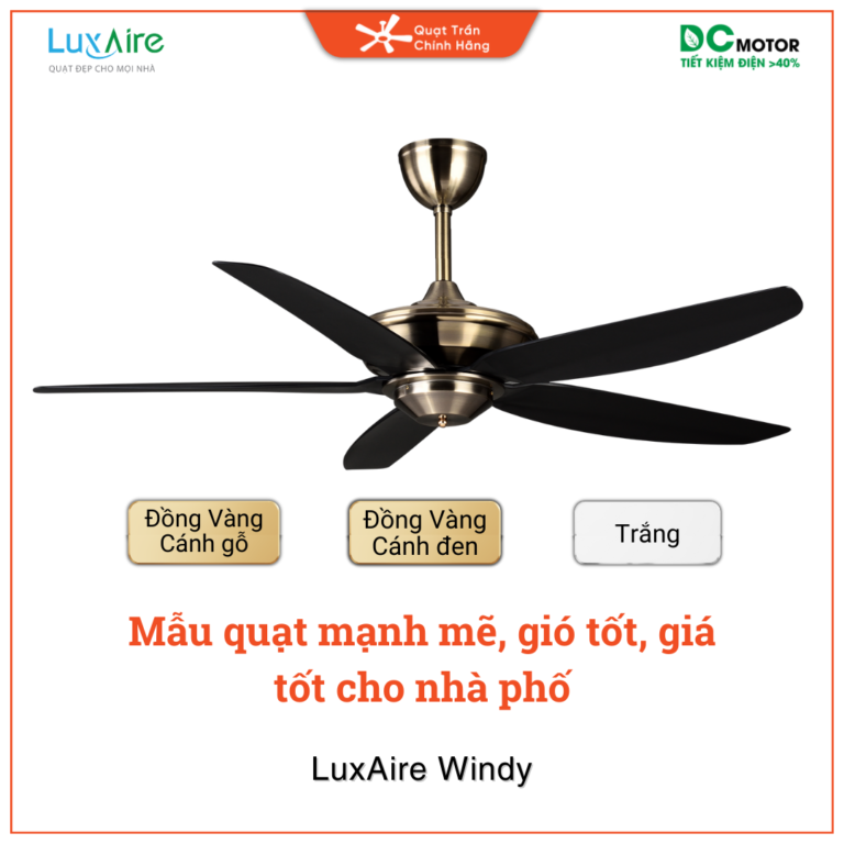 quạt trần trường học