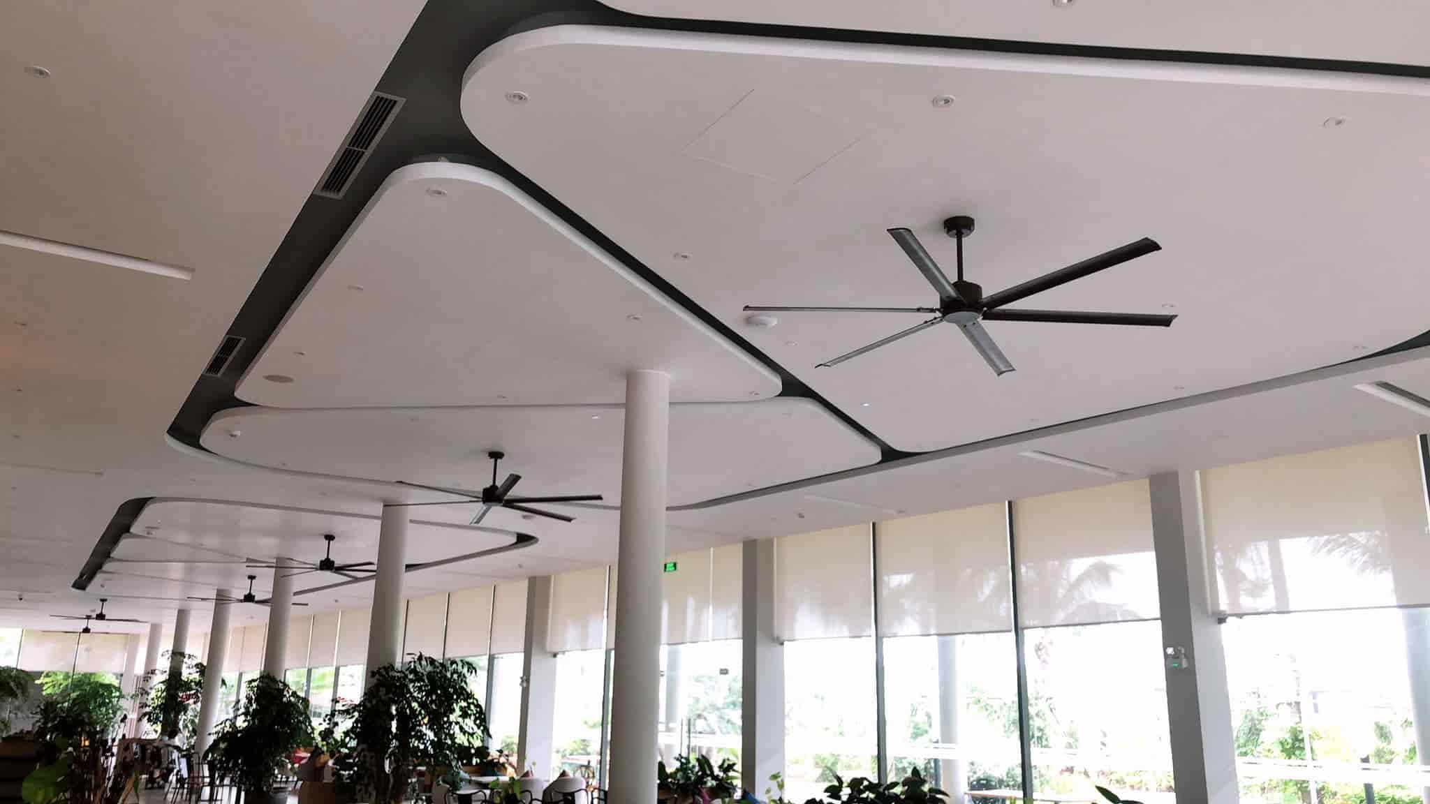 quạt trần trường học