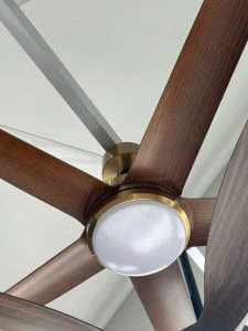 Quạt trần Luxaire Windy II