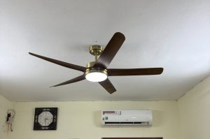 Quạt trần Luxaire Windy II