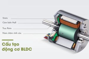 Cấu tạo động cơ BLDC không chổi than