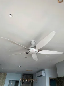 Quạt trần Panasonic F-60GDS