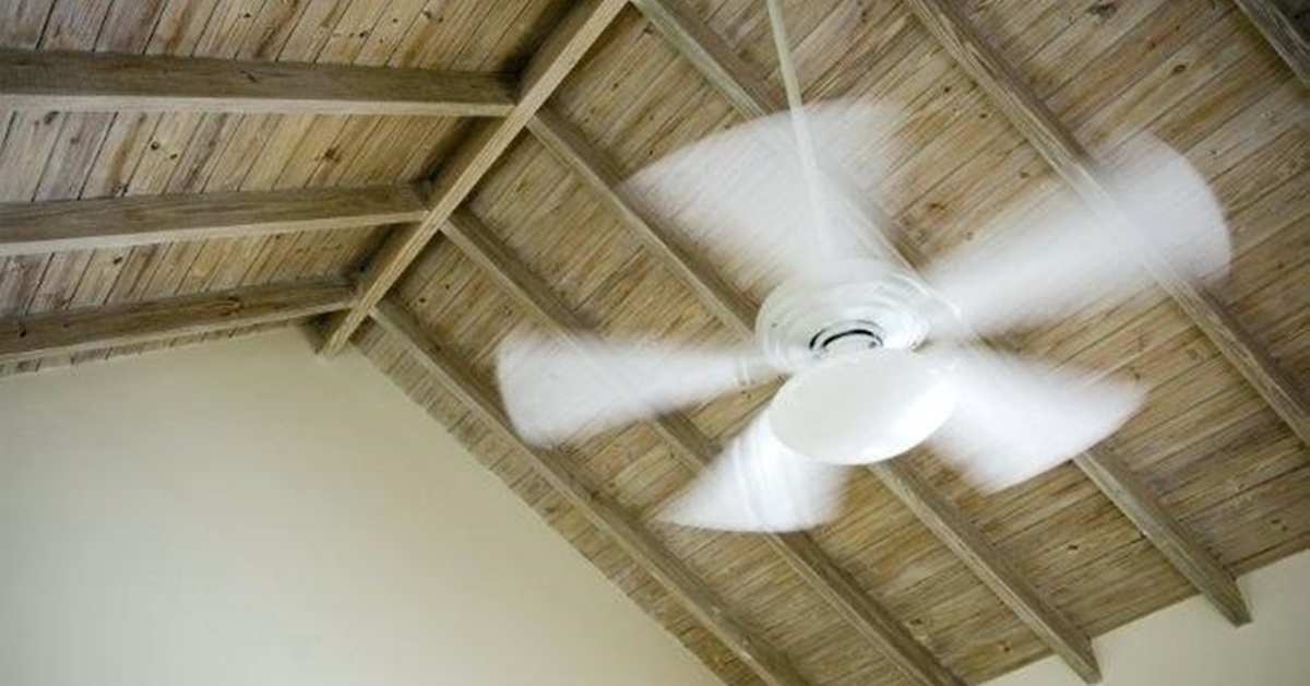 Sau thời gian dài sử dụng, bạc đạn có thể bị mài mòn, rơ lỏng hoặc hư hỏng do tải trọng và tốc độ quay liên tục.