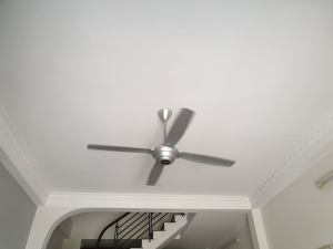 Quạt trần Panasonic F-56MZG