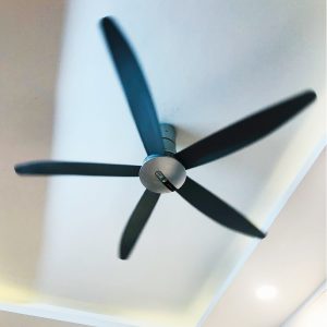 Quạt trần Panasonic F-60TAN