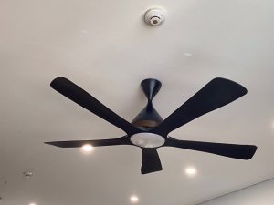 Quạt trần Panasonic F-60DGN