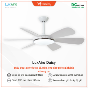 Luxaire Daisy tựa đóa hoa cúc trắng xinh xắn