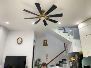 Thiết kế 8 cánh gỗ Plywood độc đáo