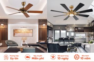 Quạt trần chính hãng Richhome - Địa chỉ mua quạt trần giá rẻ, chất lượng cao
