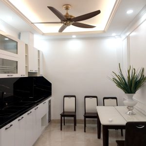 Quạt trần không đèn gió cực mạnh Luxaire Windy