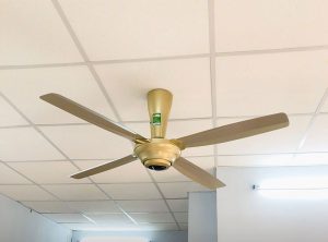 Panasonic F-56MPG - mẫu quạt trần 4 cánh