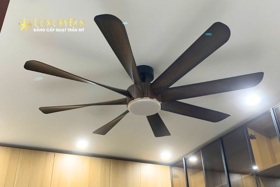 quạt trần 8 cánh đang dần trở thành lựa chọn ưu tiên trong các không gian rộng, cao cấp