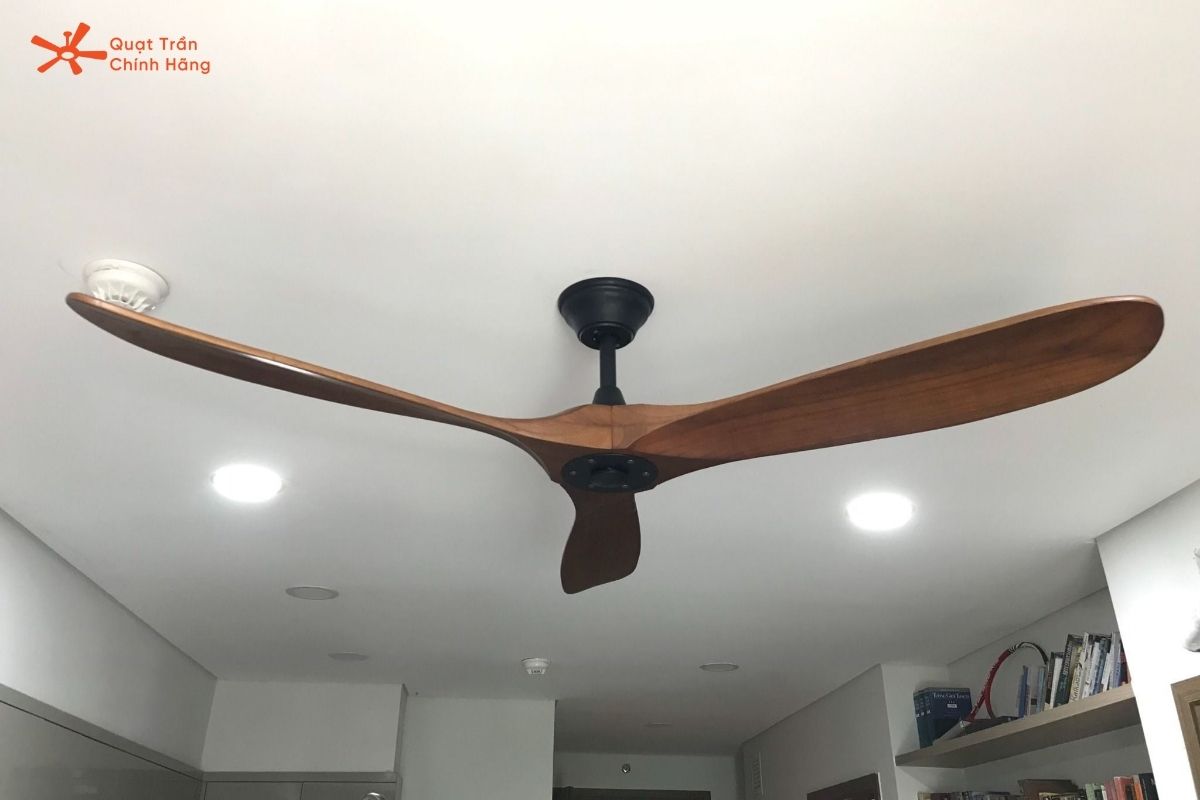 quạt trần 3 cánh gỗ đã trở thành lựa chọn yêu thích của nhiều gia đình và không gian nghỉ dưỡng