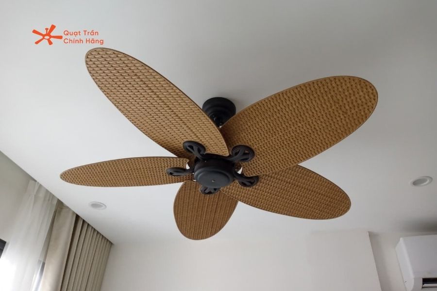 Lucci Fijian mang phong cách nhiệt đới đặc trưng, rất phù hợp với resort, homestay hoặc nhà vườn.