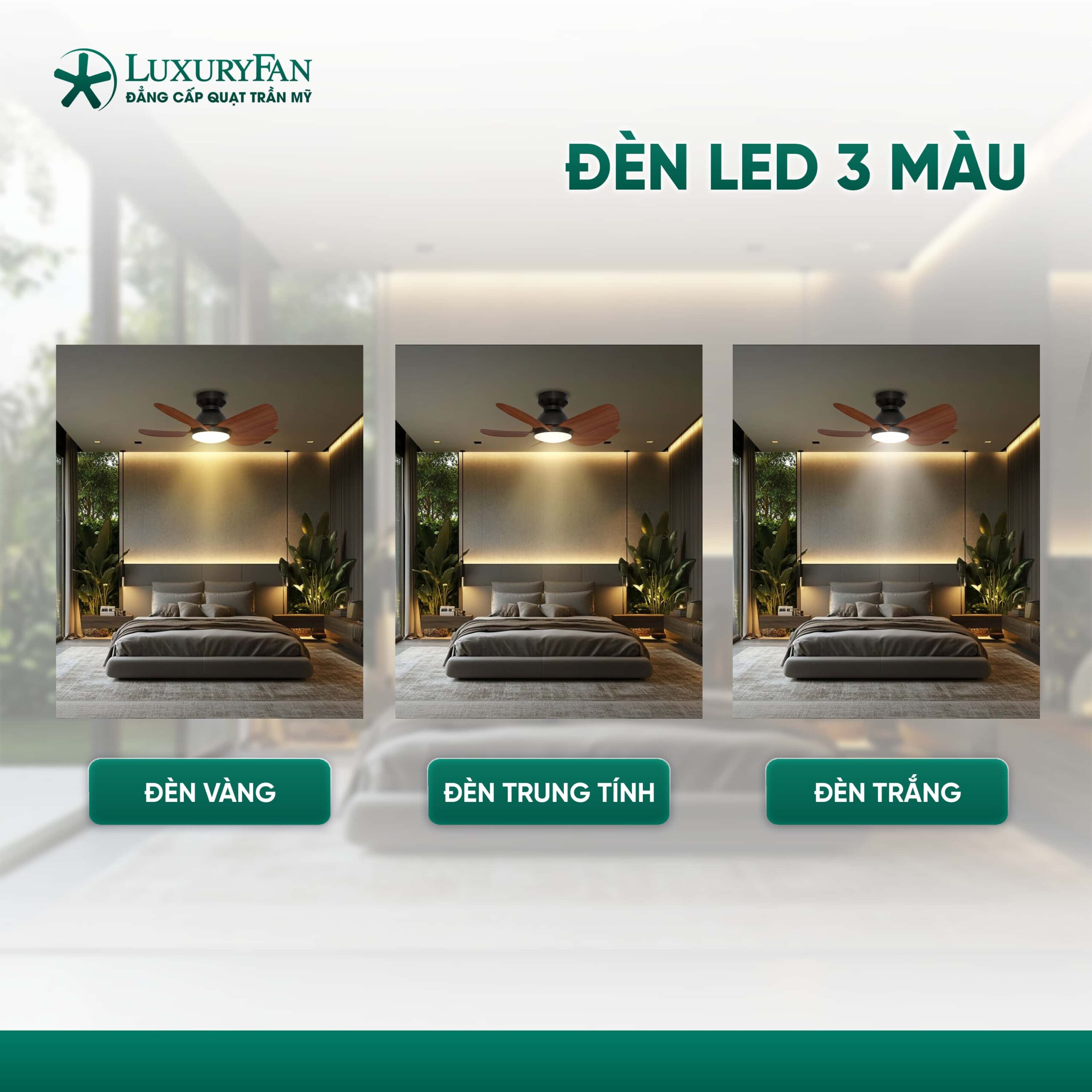 Đèn LED 3 màu: Trắng, vàng, trung tính