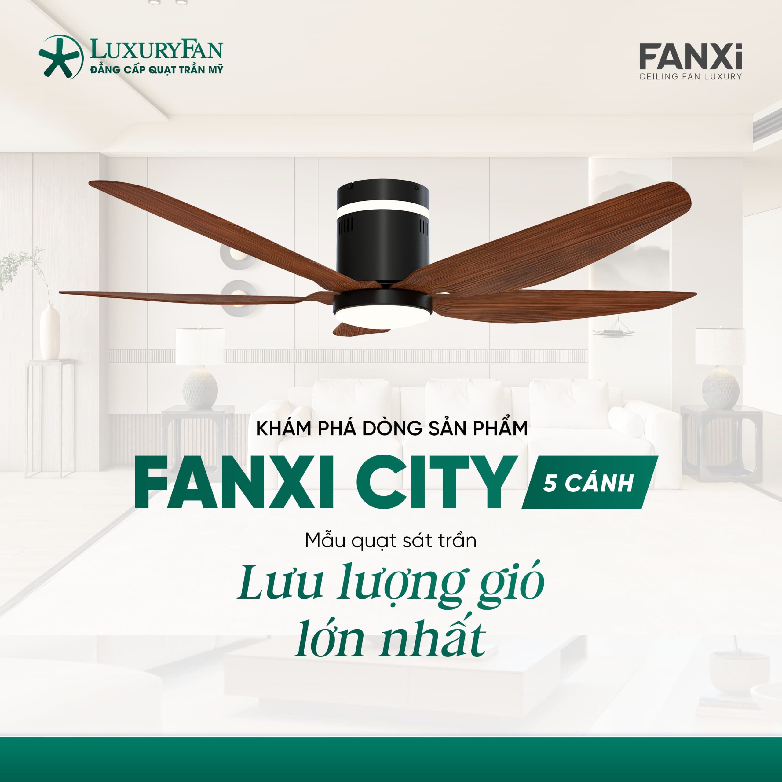 FANXI CITY FXH-5451 BL