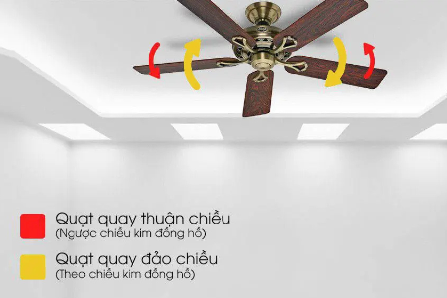 Quạt trần thông minh có chế độ đảo chiều hỗ trợ điều chỉnh hướng lưu thông không khí trong phòng